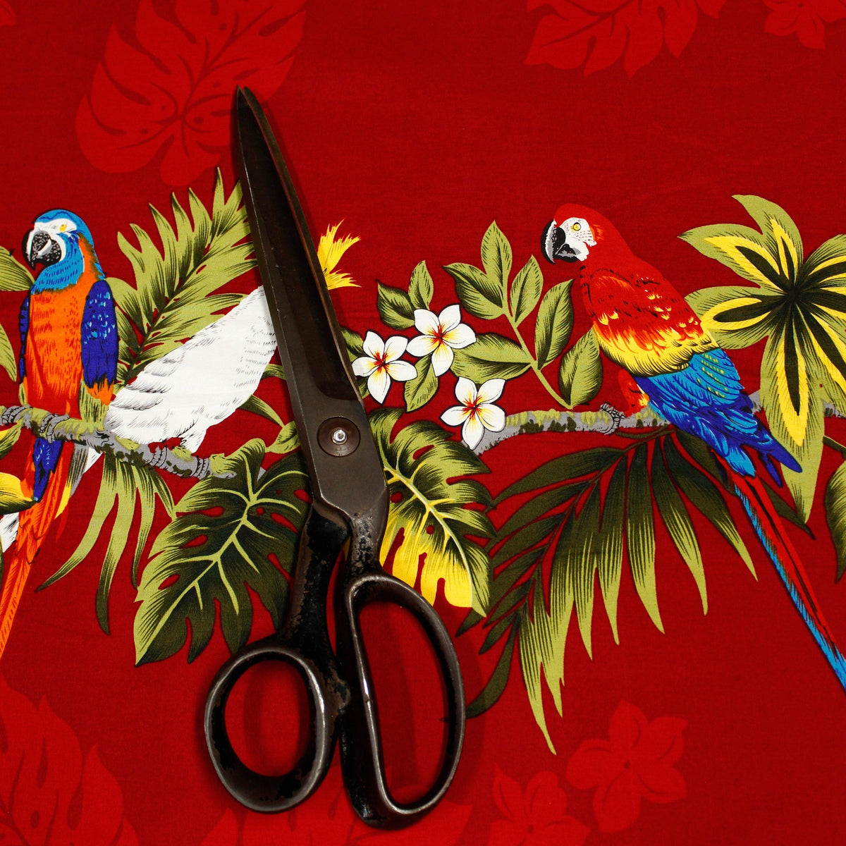 Cotton Batik Birds Parrots African Safari Animals Wildlife Sanctuary Multi  Color Cotton Fabric Print by The Yard (D302.41)