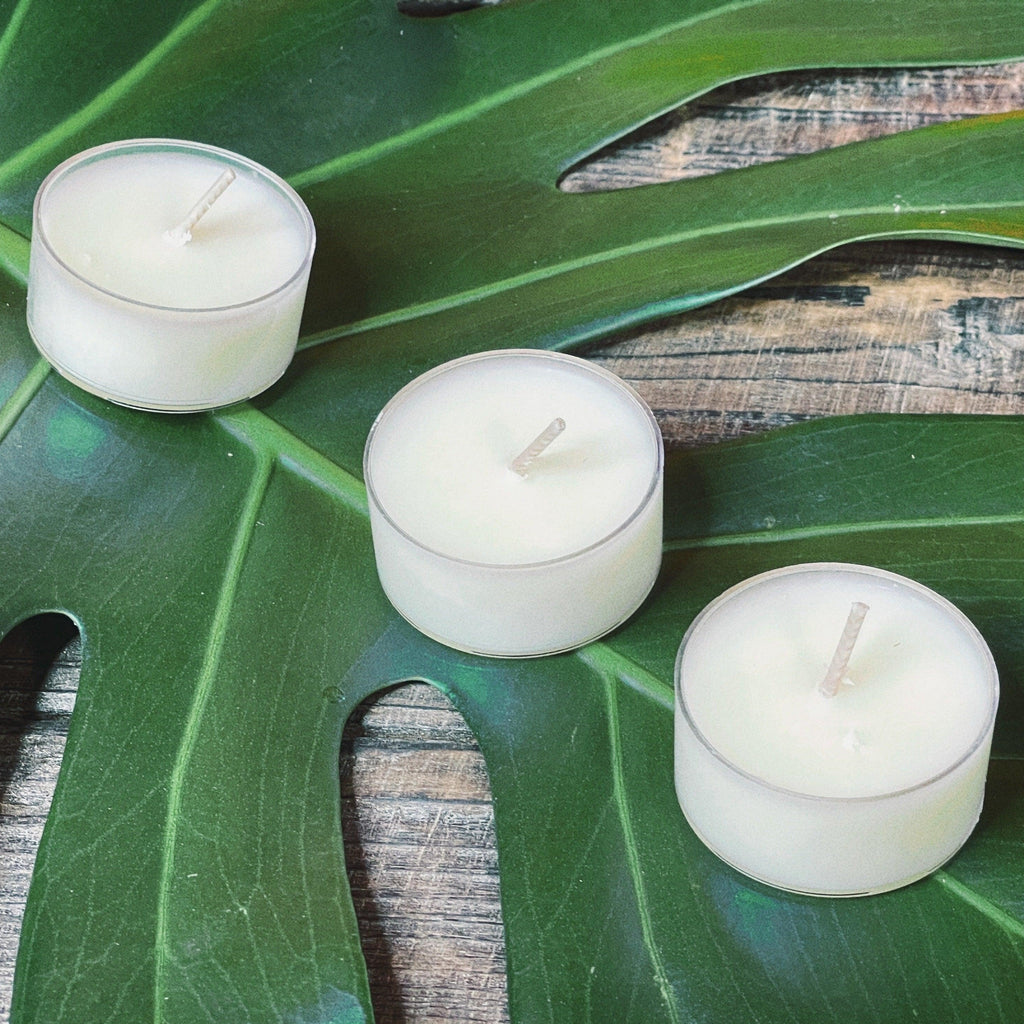 Tealight Candles with Monstera Fern - Ninth Isle - Hand-poured in Maui - Made in Hawaii