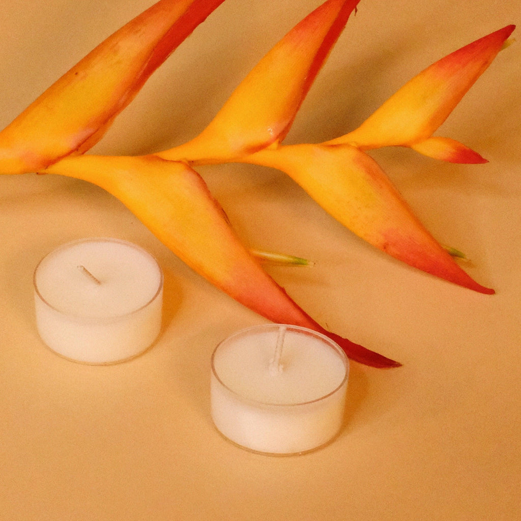 Tealight Candles with Bird of Paradise - Ninth Isle - Hand-poured in Maui - Made in Hawaii